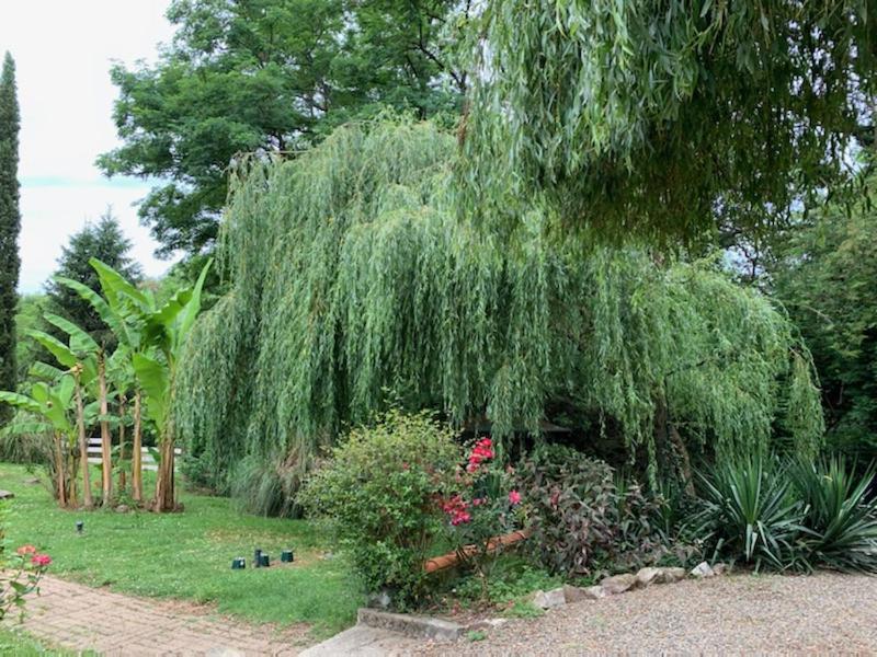 Gites Matilon, 5 Min Eugenie Les Bains Buanes Exterior foto